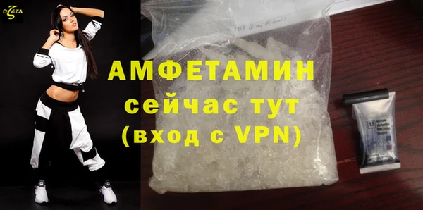 молекула духа Няндома
