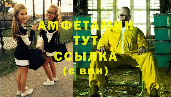 шишки Шадринск