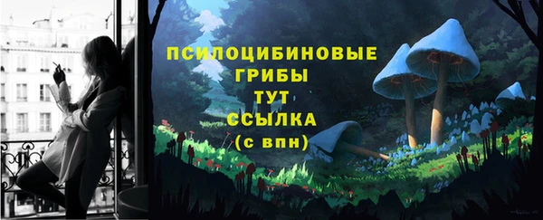 альфа пвп Нязепетровск